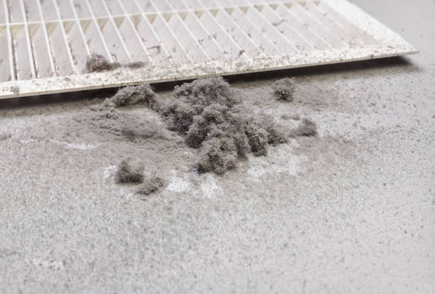 Best Air Duct Cleaning Near Me  in Southgate, FL