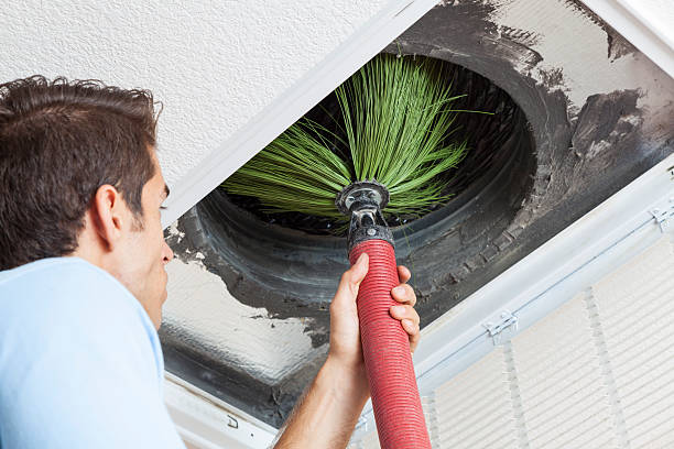 Best Emergency Air Duct Cleaning  in Southgate, FL